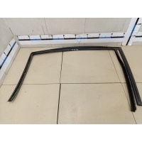 Уплотнитель стекла двери FORD Fusion 2002-2012 1370169
