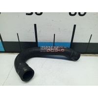 Патрубок Fiat Punto II (188) (1999 - 2010) 55184653