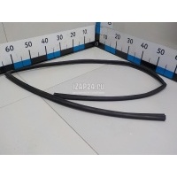 Уплотнитель стекла двери Toyota Corolla E15 (2006 - 2013) 6815102200