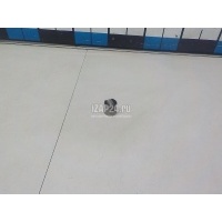 Толкатель VAG X5 E70 (2007 - 2013) 06L109311