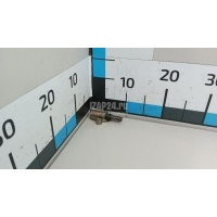Натяжитель цепи Nissan X-Trail (T31) (2007 - 2014) 13070EN20A