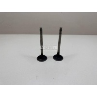 Клапан впускной Citroen-Peugeot Berlingo (M59) (2002 - 2012) 094894