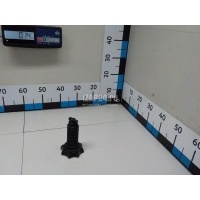 Болт крепления запасного колеса VAG Jetta (2006 - 2011) 1K0803899E