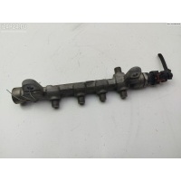 Рампа (рейка) топливная Opel Insignia 2011 04445214221, 55576177