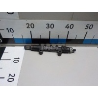 Рейка топливная (рампа) Ford Boxer 250 2006 1497163