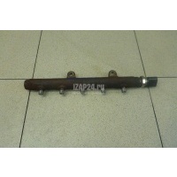 Рейка топливная (рампа) Ford Boxer 250 2006 1717578
