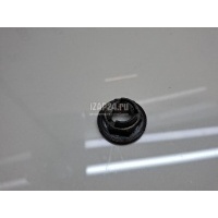 Гайка передней ступицы Ford Kuga (2008 - 2012) 4659413