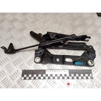 Петля капота левая BMW 7 F01/F02 [рестайлинг] 2014 F01FK,7184189