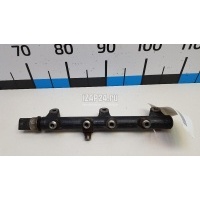 Рейка топливная (рампа) Hyundai-Kia Carnival (2005 - 2014) 315004X400