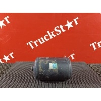Ресивер воздушный 4L Man F2000 I 81514010194