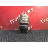 Энергоаккумулятор тормозной Man TGA 81504116015