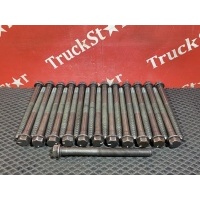 Комплект болтов ГБЦ Daf XF105 1689263