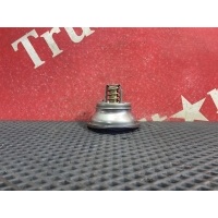 Термостат Renault Premium II 21412639