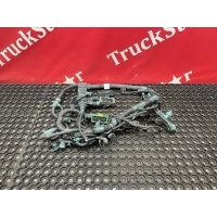 Проводка двигателя Renault T 22272568