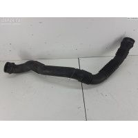 Патрубок турбины Mercedes W169 (A) 2005 1695200301