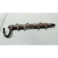 Рейка топливная (рампа) Ford Ranger (2006 - 2012) 1449265