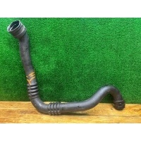 Патрубок интеркулера Renault Scenic 1 2001 8200141188
