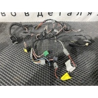 проводка двери левой Volvo FH4 22935541,22935545,23123615,23381212