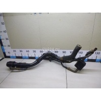 Горловина топливного бака Hyundai-Kia Carens (2006 - 2012) 310301D000