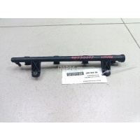 Рейка топливная (рампа) Renault Sandero (2009 - 2014) 8200494284