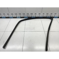 Уплотнитель стекла двери Renault Sandero (2009 - 2014) 8200733140