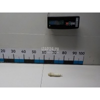 Крепеж VAG Touareg (2010 - 2018) 7P6945300A