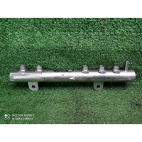 топливная рампа Fiat Doblo (2005-2015) 55211906
