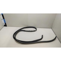 Уплотнитель двери Hyundai-Kia Solaris (2010 - 2017) 821204L000