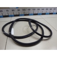 Уплотнитель двери Ford Focus III (2011 - 2019) 1728576