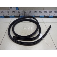 Уплотнитель двери Ford Focus III (2011 - 2019) 1750005