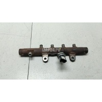 Рейка топливная (рампа) Renault Latitude (2010 - 2015) 8200704212