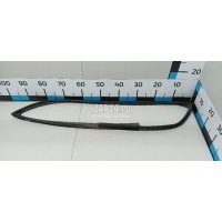 Уплотнитель стекла двери Hyundai-Kia RIO (2011 - 2017) 825404X000