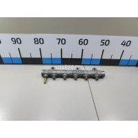 Рейка топливная (рампа) Nissan Qashqai+2 (JJ10) (2008 - 2014) 1752000Q2D