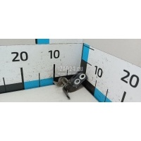 Петля двери Nissan Qashqai+2 (JJ10) (2008 - 2014) 824202F030