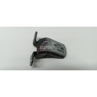 Петля двери Nissan Qashqai+2 (JJ10) (2008 - 2014) 824202F030