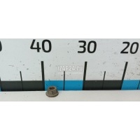 Гайка Nissan Qashqai+2 (JJ10) (2008 - 2014) 01223S203E