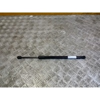 Амортизатор капота Exeed RX 1 2023- 554000485aa