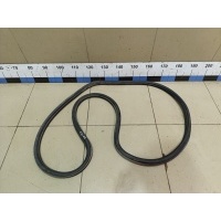 Уплотнитель двери VW Jetta 2011> 5C6867914G9B9