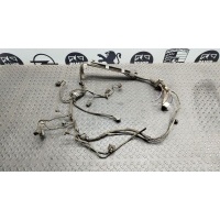 Проводка моторная Mercedes C/W202 1993-2001 A2024409532
