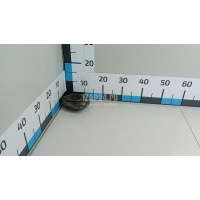Опора переднего амортизатора левая Nissan Qashqai+2 (JJ10) (2008 - 2014) 54321JD00B