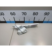 Петля капота правая VAG Q3 (8U) (2012 - 2018) 8U0823302