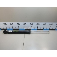 Амортизатор задний VAG Q3 (8U) (2012 - 2018) 5N0513049AG
