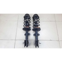 Амортизатор передний (к-кт) Renault Duster 2010-2020	Комплект : 543026656R