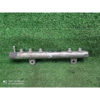 топливная рампа Opel Meriva A (2003-2010) 55211906