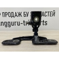 Петля двери багажника BMW X7 G07 2019-2022 41007486552