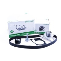 Schaeffler ina 530 0607 30 насос насос комплект панели грм