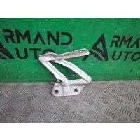 петля капота Ford Transit 7 TTG 2014-нв 1832266, BK2116801AC, 8