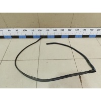 Уплотнитель двери VW Jetta 2011> 5C6839700C