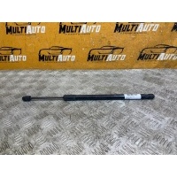 Амортизатор капота Exeed RX 1 2023- 554000486aa