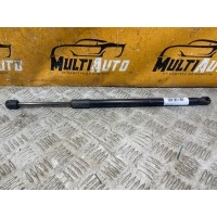 Амортизатор капота Exeed RX 1 2023- 554000485aa